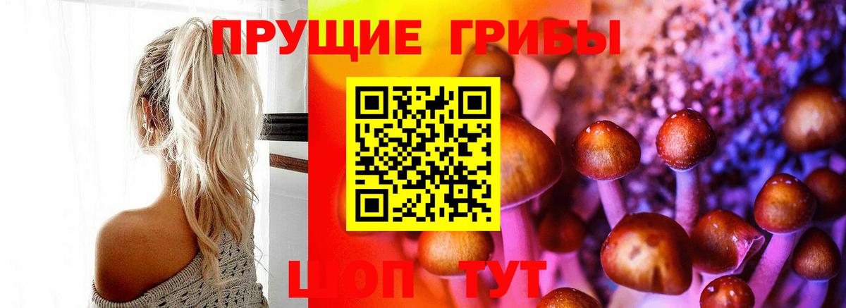 Архангельск  Псилоцибиновые грибы прущие грибы  Галлюциногенные грибы Psilocybine cubensis  Вход с VPN 